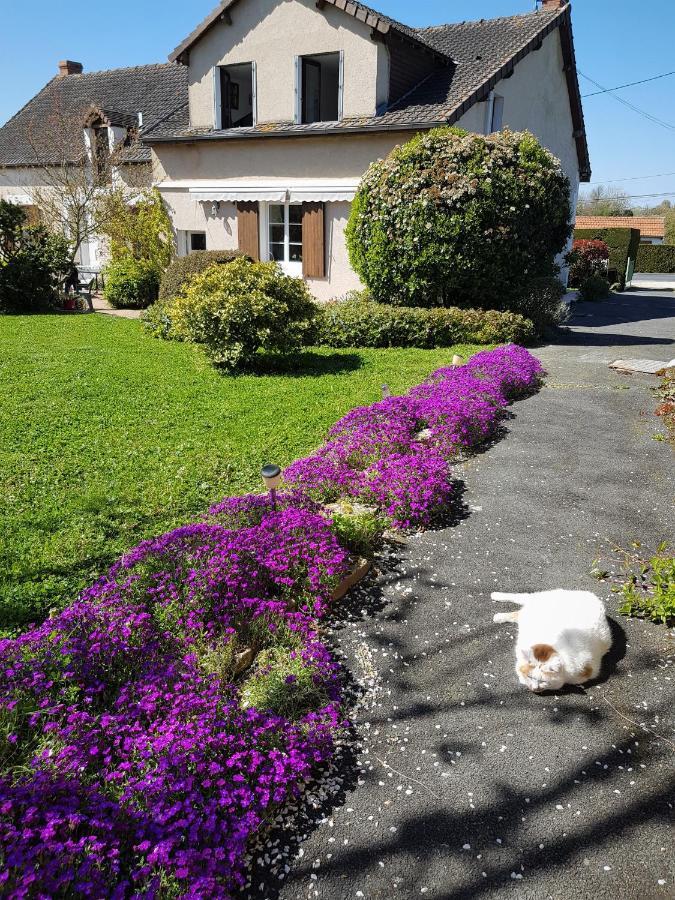 Gite Anne-Marie Davaillon Châtillon-sur-Indre Kültér fotó